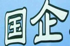 国内大型企业集团管控体系咨询